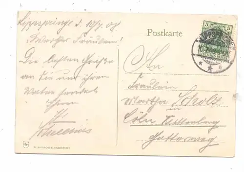 4930 DETMOLD, Hermannsdenkmal, Bismarkstein, 1908