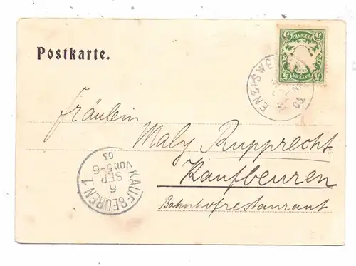 8990 LINDAU, Gesamtansicht, 1905, coloriert