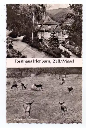 5583 ZELL, Forsthaus Irlenborn, Wildgehege