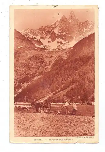 LANDWIRTSCHAFT - Pferdepflug, Chamonix, Druckstelle