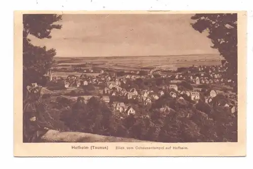 6238 HOFHEIM, Blick vom Cohausentempel, 1918
