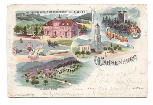 F 67710 WANGENBOURG / WANGENBURG, Lithographie, Hotel Zum Schneeberg, Panorama, Ruine, Kirche, 1899, kl. Eckmängel
