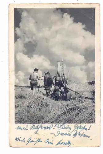 LANDWIRTSCHAFT - Heuernte , 1944, kl. Knick