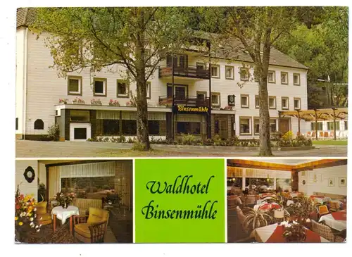 5531 DEUDESFELD - BINSENMÜHLE, Waldhotel