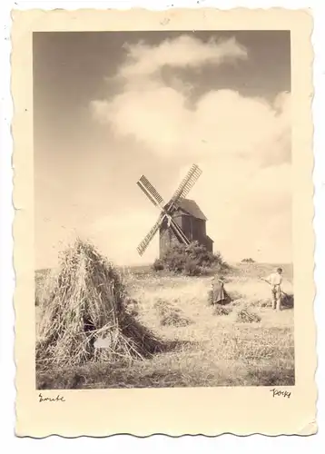 LANDWIRTSCHAFT - Heu - Ernte / Harvest, Windmühle
