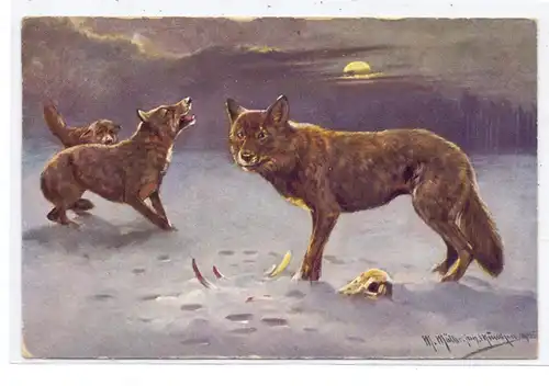 JAGD - HUNTING - JACHT - CHASSE - CACCIA - CAZA - LOWIECTWO, Wölfe, Künstler-Karte M.Müller, München