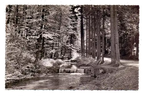 4930 DETMOLD - BERLEBECK, Hotel Hirschsprung, Berlebecker Quellen, 1957