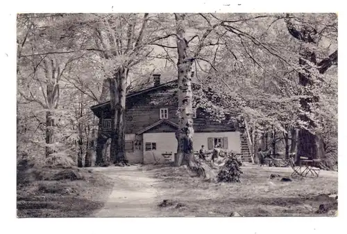 0-9501 HIRSCHFELD - VOIGTSGRÜN, Tierpark, Gaststätte
