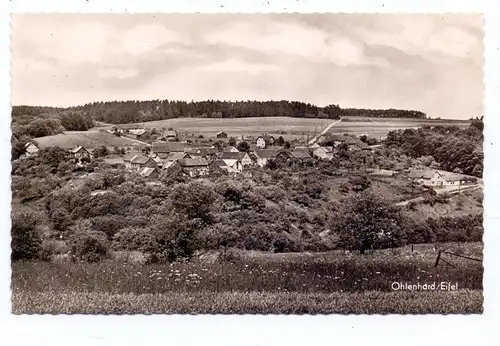 5488 ADENAU - OHLENHARD, Panorama, aptierter Stempel Münstereifel