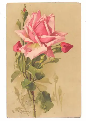 KÜNSTLER / ARTIST - CATHARINA KLEIN, Rosen,