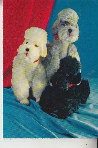 SPIELZEUG / TOYS, STEIFF - Pudel