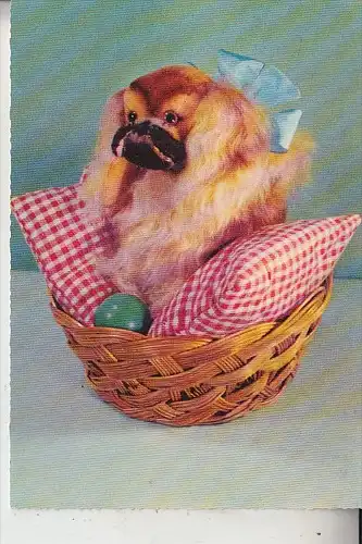 SPIELZEUG / TOYS, STEIFF - Pekinese