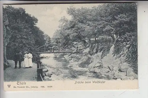 0-4308 THALE, Brücke beim Waldkater, 1905