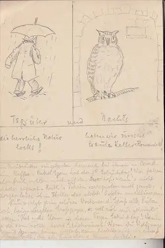 VÖGEL - EULEN / Owls / Buho / Hibou / Uil / Gufo - Handzeichnung, 1940