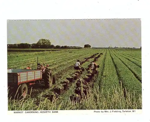 LANDWIRTSCHAFT - Traktor in einer Gärtnerei / market gardening