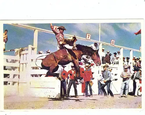 REITSPORT - RODEO, Calgary Stampede