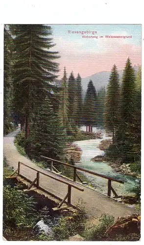 BÖHMEN & MÄHREN - SPINDLERMÜHLE / SPINDLERUV MLYN, Weberweg im Weisswassergrund