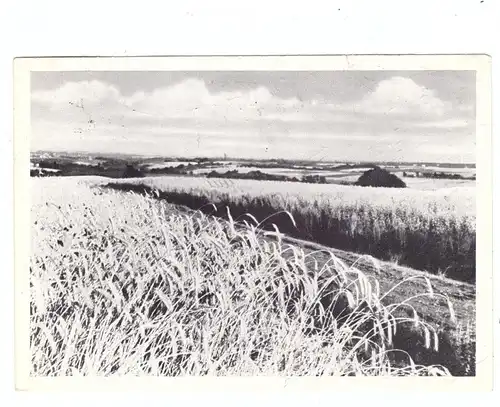 5093 BURSCHEID - HEILIGENEICHE, Sommermorgen , 1956