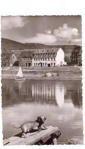 5590 COCHEM - ERNST, Gasthaus Lönartz-Andre, Dackel / Teckel