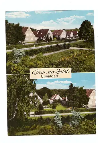 2932 ZETEL, Urwaldstrasse