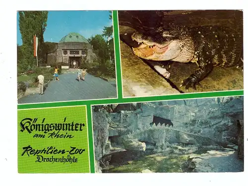 5330 KÖNIGSWINTER, Drachenhöhle, Reptilien-Zoo, Krokodil
