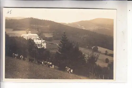 BÖHMEN & MÄHREN - GRÄFENBERG / LAZNE JESENIK, Prießnitz Sanatorium