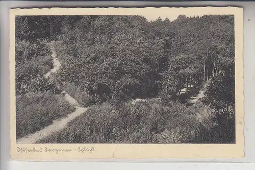 OSTPREUSSEN - SORGENAU / POKROWSKOJE, Schlucht, 1938