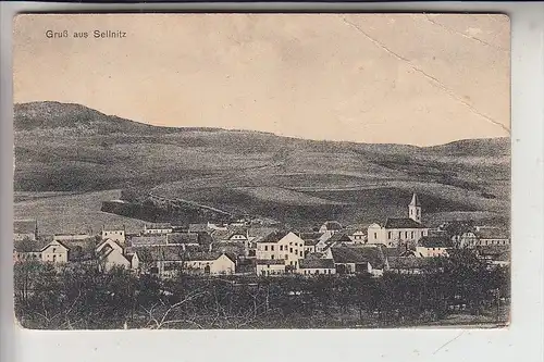 BÖHMEN & MÄHREN - SELLNITZ / SELENICE, Ortsansicht, Druckstelle