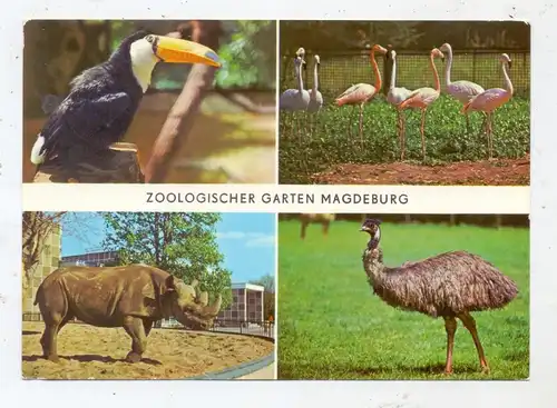 ZOO, Magdeburg, Zoologischer Garten