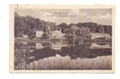 4400 MÜNSTER, Teilansicht im Botanischen Garten, 1922