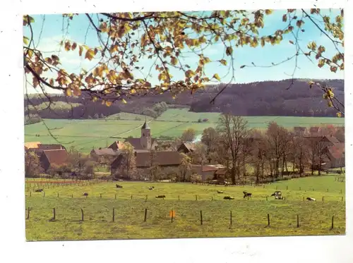 5983 BALVE - MELLEN, Ortsansicht