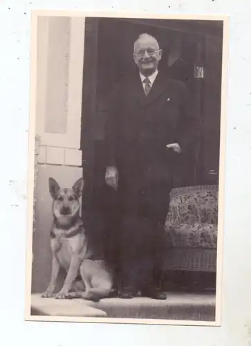 HUNDE - SCHÄFERHUND / Sheperd Dog, Chien de Berge / Herdershond, Photo-AK 1952