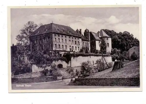 5510 SAARBURG - PALZEM, Schloss Thorn
