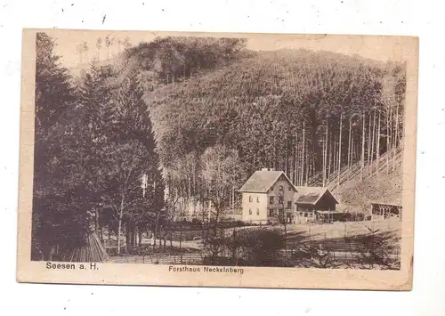 3370 SEESEN, Forsthaus Neckelnberg, 1920