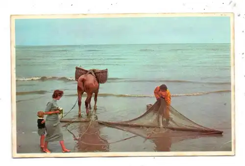 BERUFE - FISCHEREI, Garnelenfischer / Crevetten, Belgien