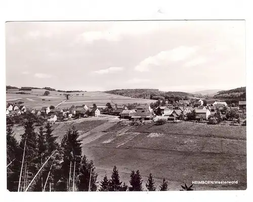 5238 HACHENBURG - HEIMBORN, Ortsansicht