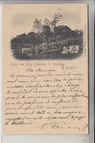 3530 WARBURG - CALENBERG, Burg & Umgebung, 1903