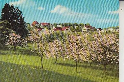 5455 RENGSDORF, Blick von der Terrasse