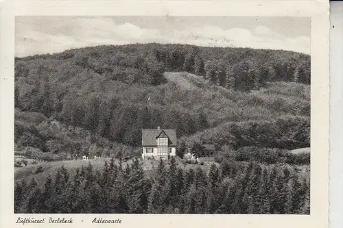 4930 DETMOLD - BERLEBECK, Adlerwarte, 1955