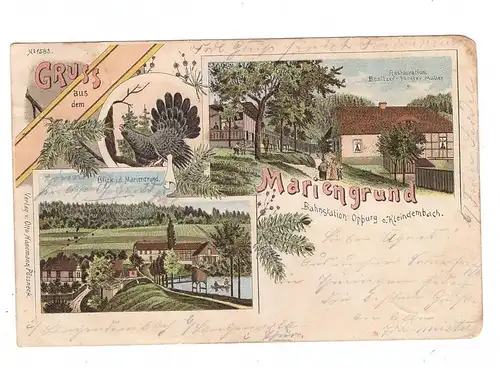 0-6841 LANGENORLA - KLEINDEMBACH, Lithographie Mariengrund, 1901