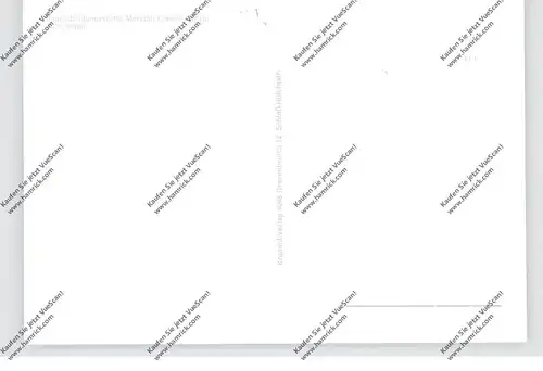 4475 SÖGEL, Jugendbildungsstätte