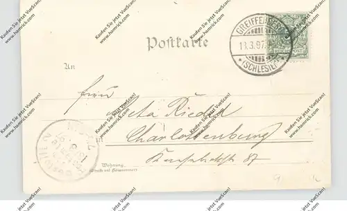 NIEDER-SCHLESIEN - GREIFFENBERG / GRYTOW SLASKI, Lithographie 1897, Kirchen, Kienberg, Ruine, Stadtansicht...