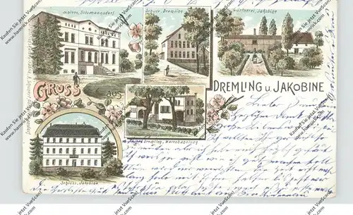 NIEDER-SCHLESIEN - DREMLING & JAKOBINE (Ohlau), Lithographie, Warenhandlung, Schlösser, Schule, Gärtnerei