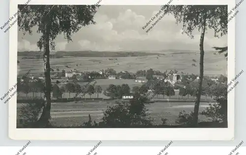 BÖHMEN & MÄHREN - RASPENAU / RASPENAVA  (Friedland), Gesamtansicht, 1941