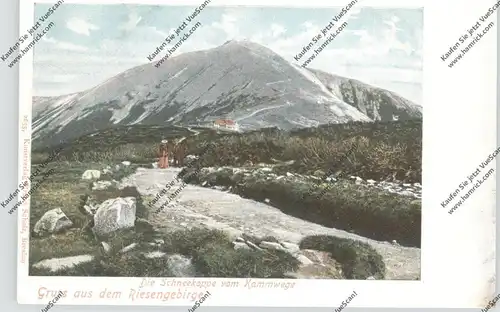 NIEDER-SCHLESIEN - SCHNEEKOPPE / SNEZKA, Schneekoppe vom Kammweg gesehen, ca. 1905