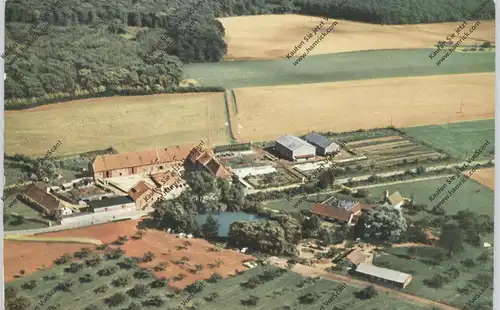6072 DREIEICH, Hofgut Neuhof, Luftaufnahme 1959