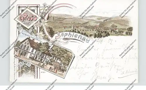 NIEDER-SCHLESIEN - SOPHIENAU / SULISZOW (Waldenburg), Lithographie, Gasthof & Brennerei Barthel, Dorfansicht