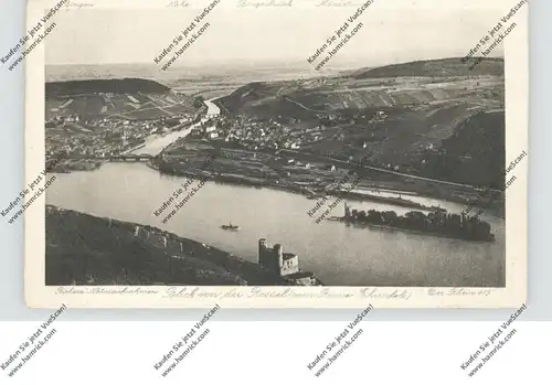 6220 RÜDESHEIM, Blick von der Rossel, Verlag Richarz Königswinter "Der Rhein 119"