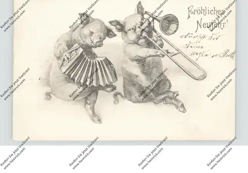 NEUJAHR - Musizierende Schweine, Akkordeon - Posaune, kleine Flecken