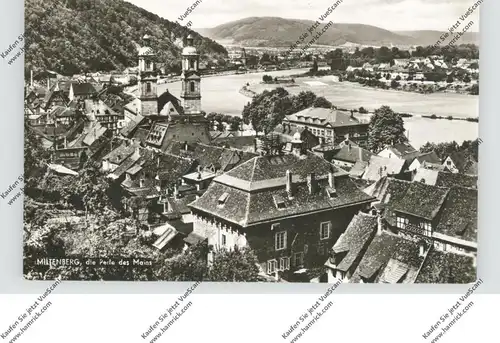 8760 MILTENBERG, Panoramaansicht